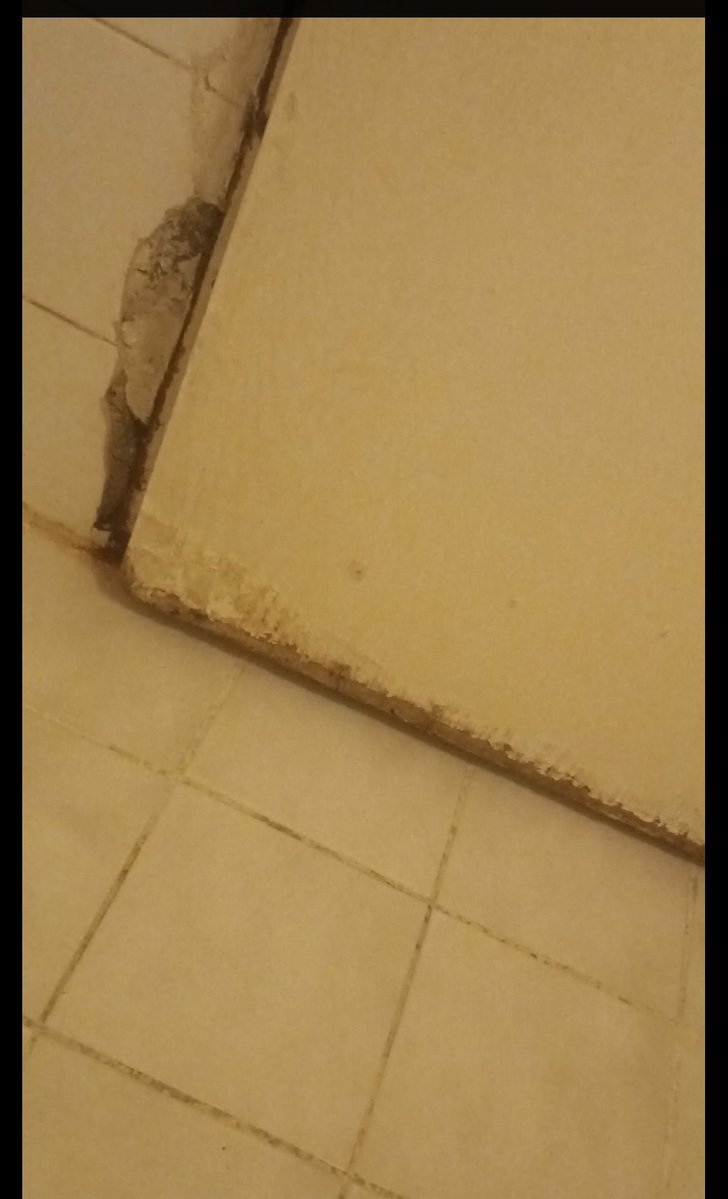 looserman09 tweet media