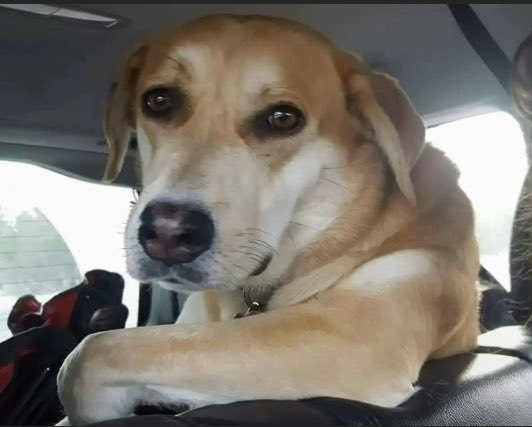 Erin - MARK DAVIS’ HAIR CUT ♋️ tweet media