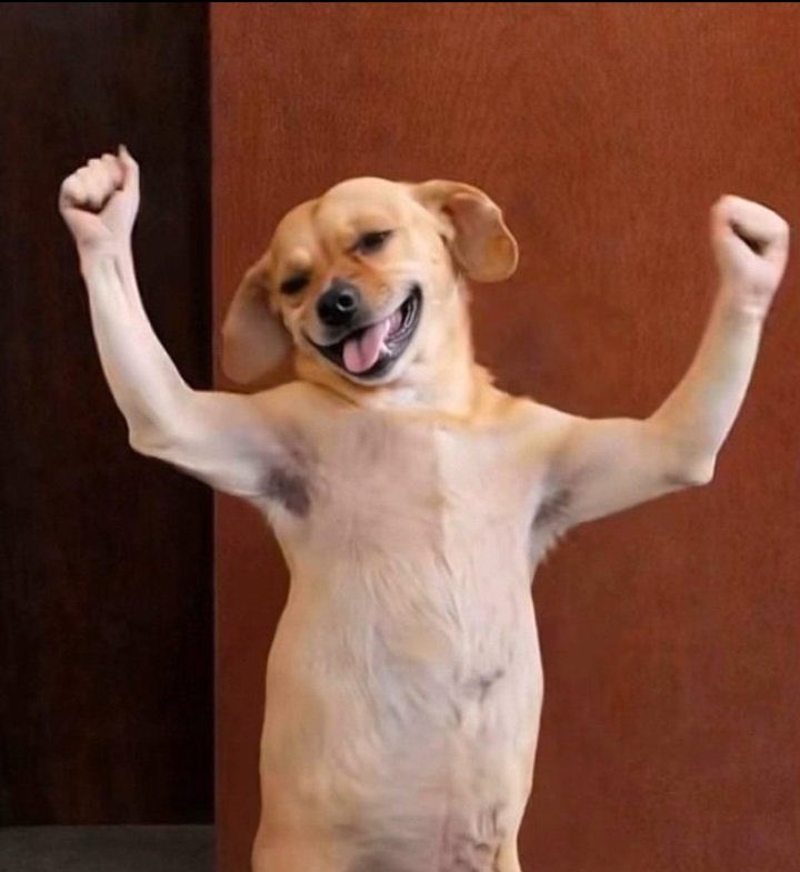 Jenny 🌸 tweet media