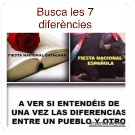 Cap-i-pota tweet media