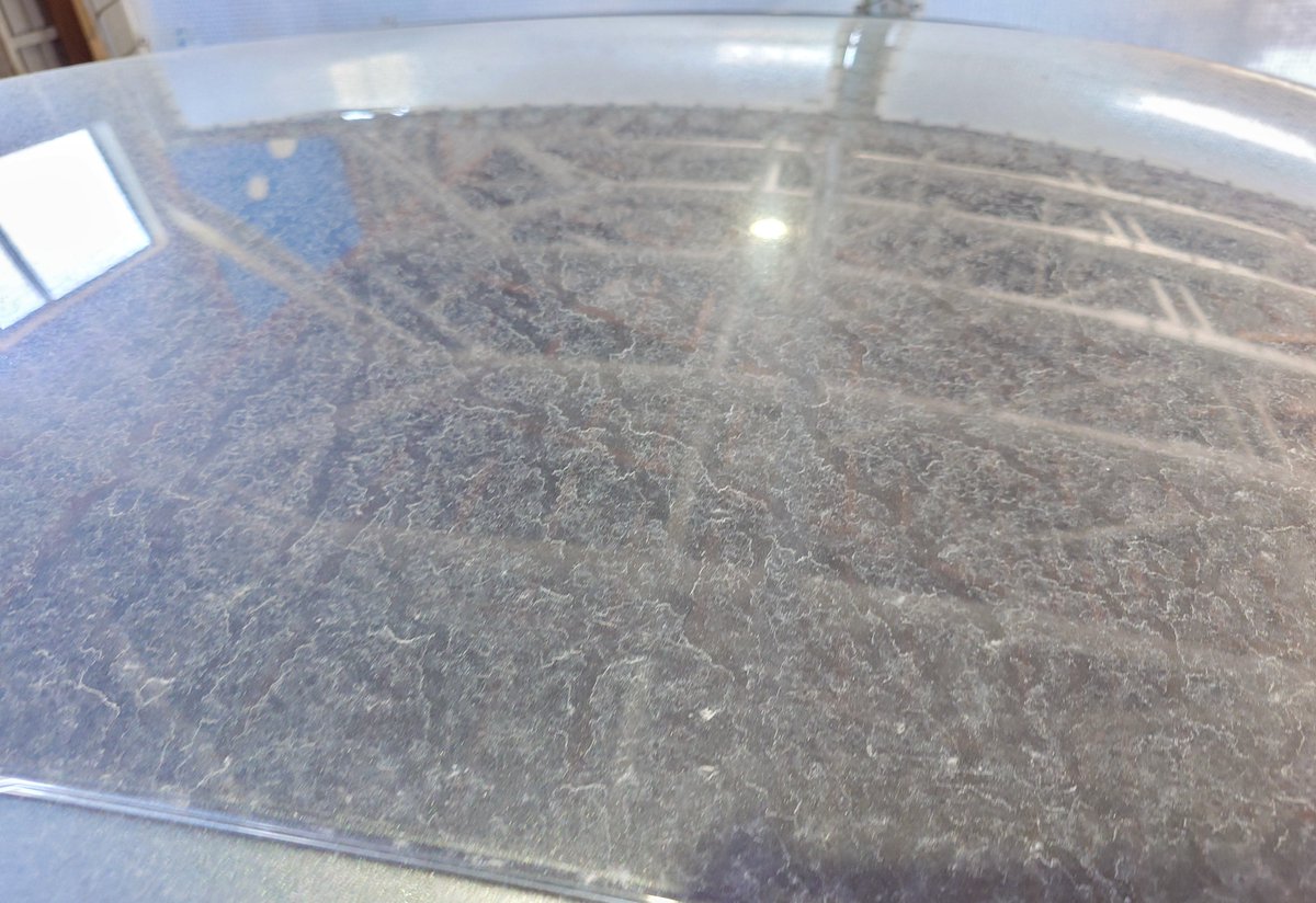 シャクレワニさん 最後への道 tweet media