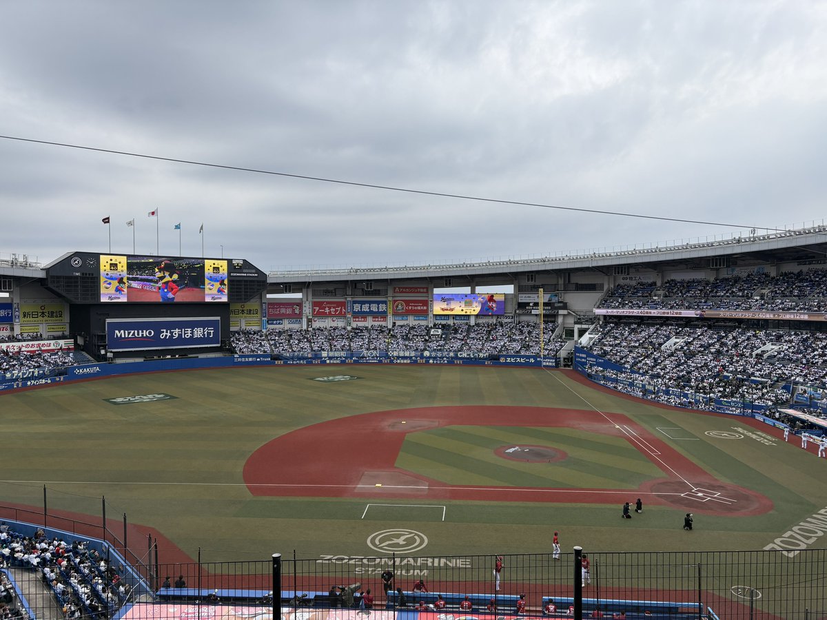 パスカル tweet media