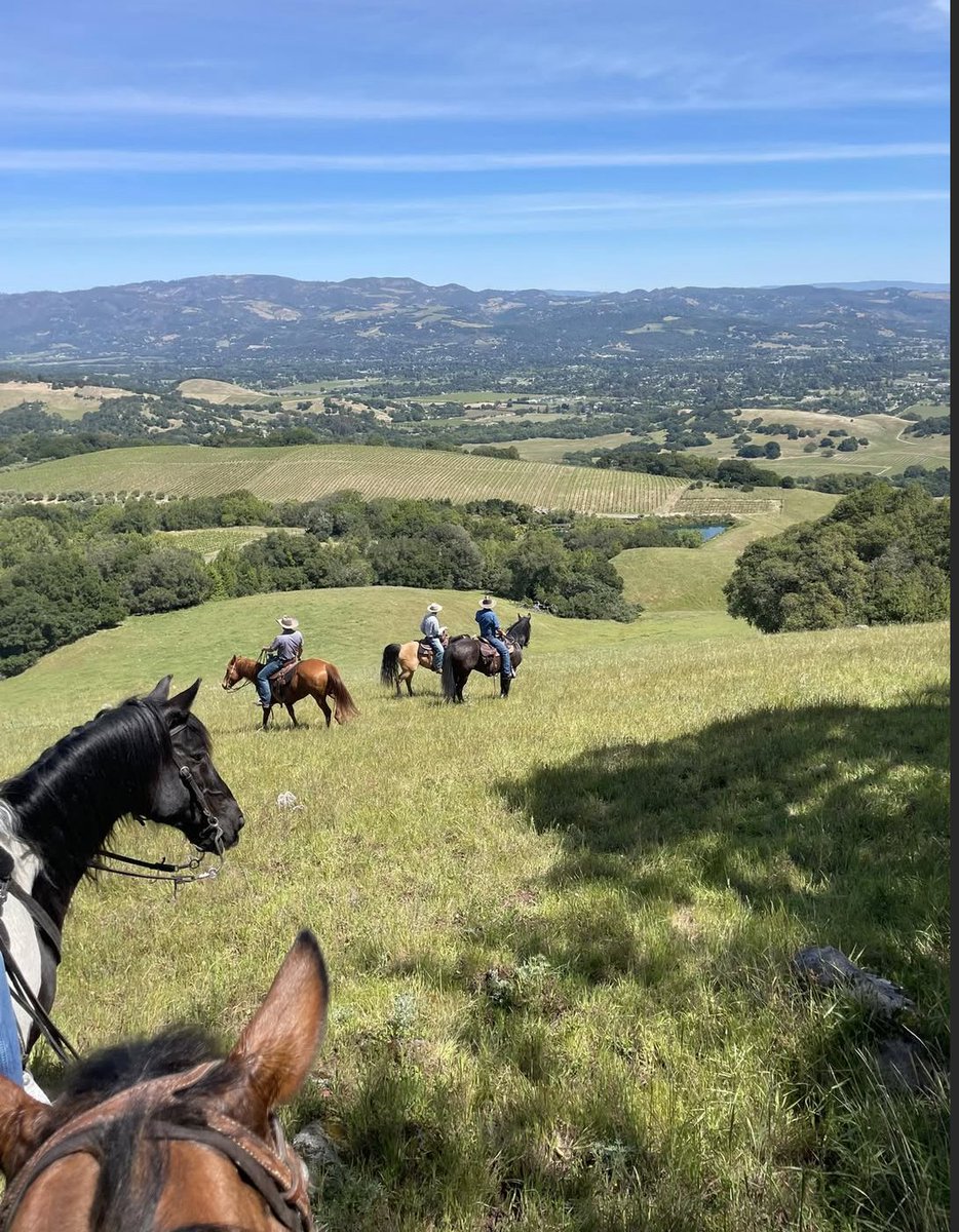 Cowboy Gospeler tweet media