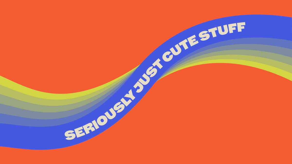 PHASE ONE tweet media