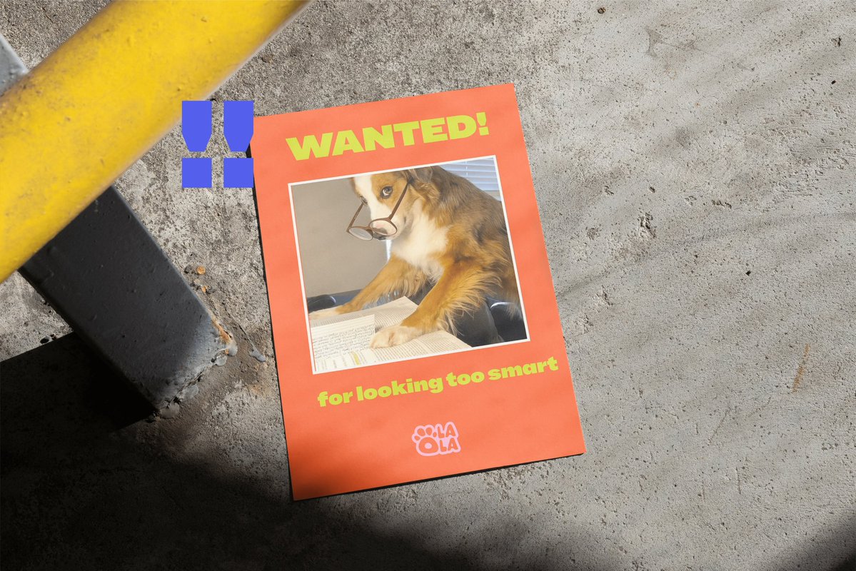 PHASE ONE tweet media