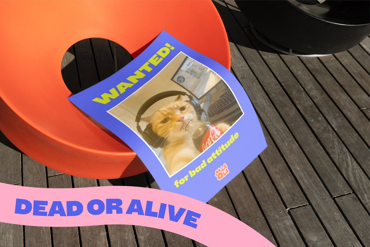 PHASE ONE tweet media