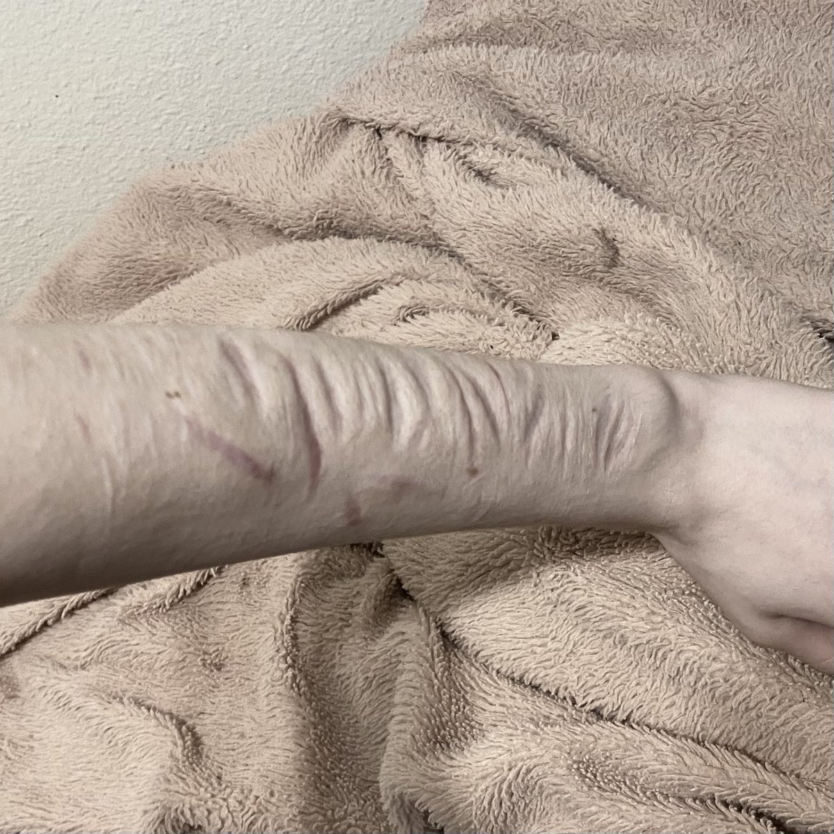 angelica tweet media