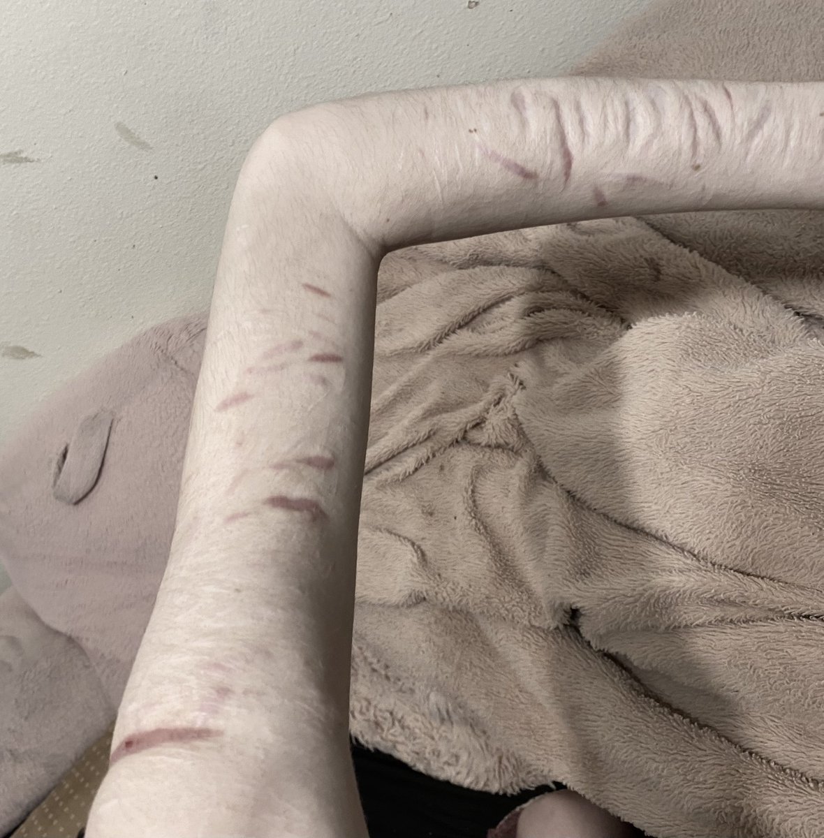 angelica tweet media