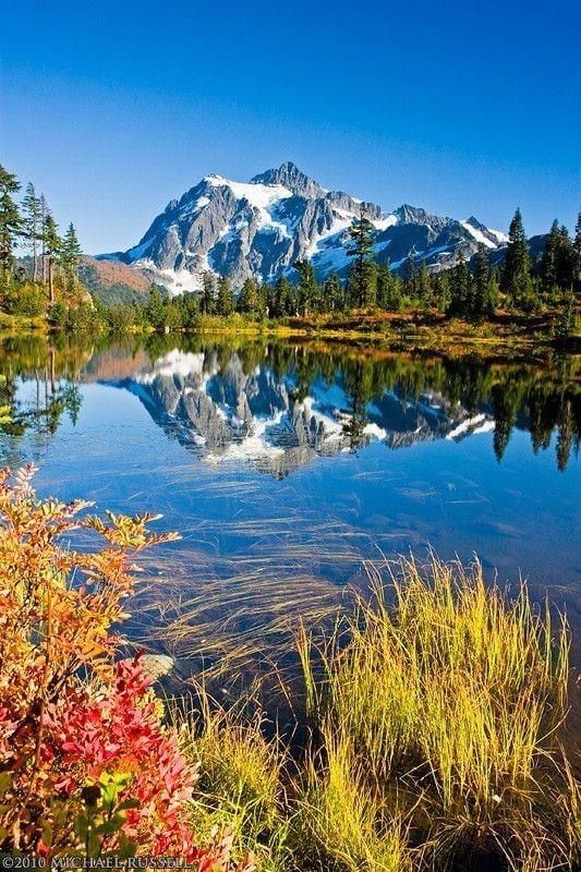 Xylonature tweet media