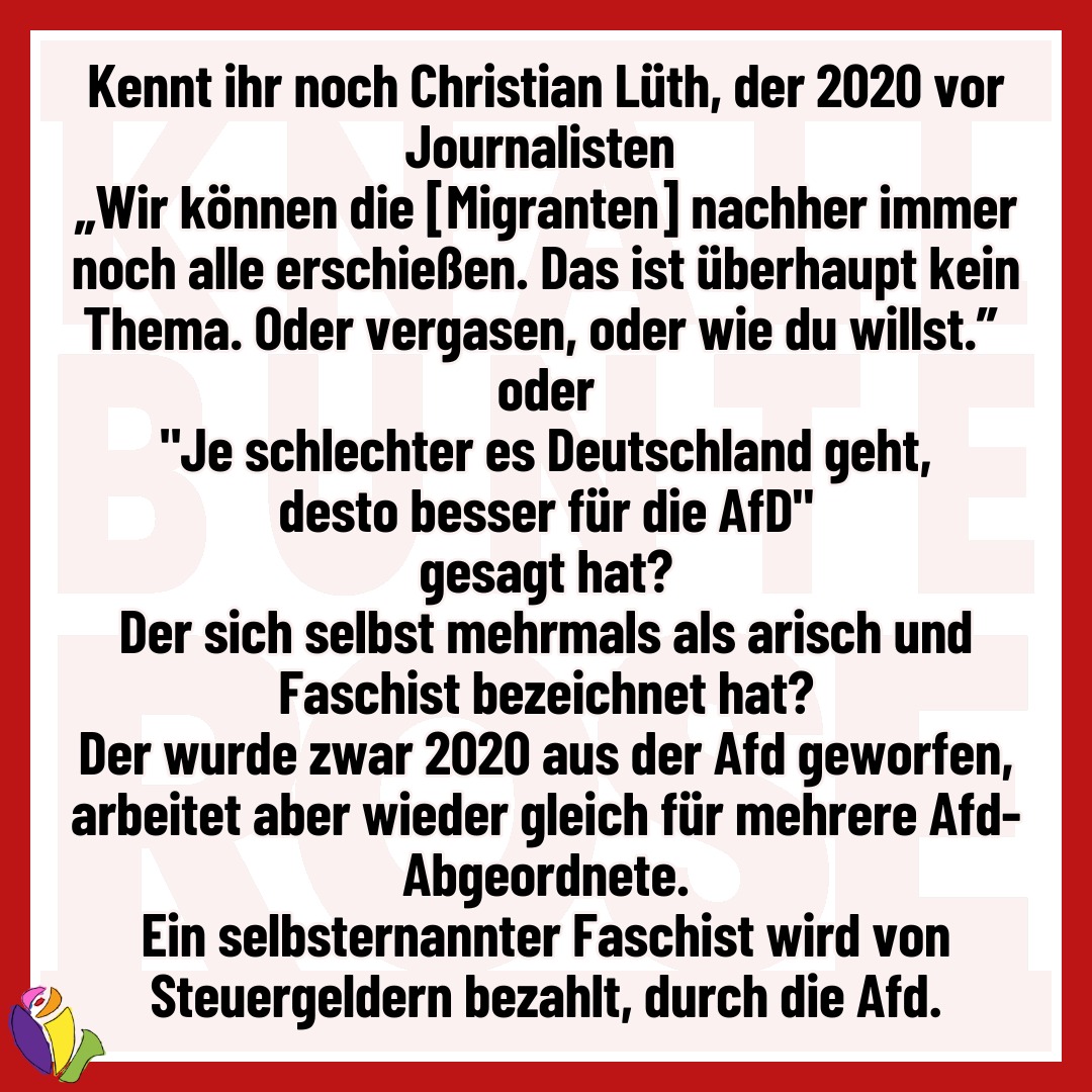 stecki 2.0😾📯🏳️‍🌈 tweet media