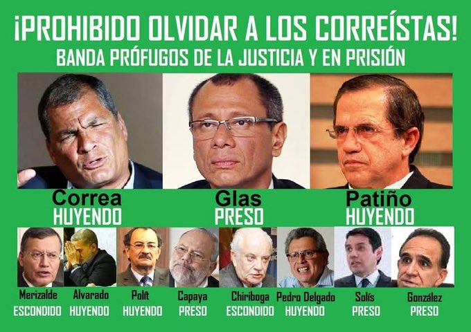 Rómulo x. tweet media