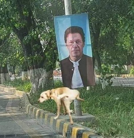 Resham Saleem🇵🇰🐅 tweet media