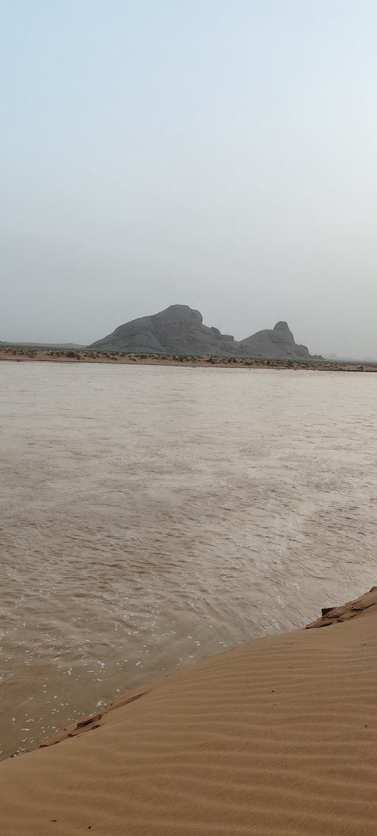 aosman_16's tweet photo. وادي الرمة من عند نفود محيوة غرب القصيم ممشاه طيب صباح اليوم الأربعاء ١٤٤٧/١١/١٢هـ https://t.co/0n3va0cHzd