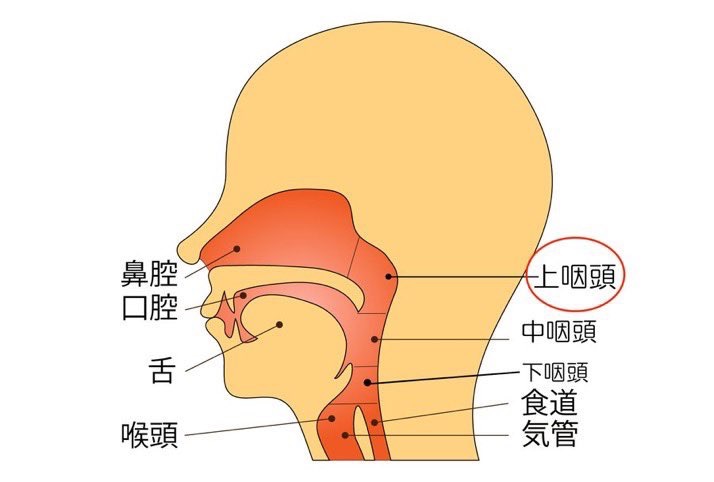 かぜ・インフルエンザ・コロナなどの感染症をこじらせて、のどの炎症を慢性化させてしまうと、慢性上咽頭炎になります。
慢性上咽頭炎は、以下の病気や不調を引き起こす可能性があるといわれています。

・頭痛
・不安障害・うつ・慢性疲労症候群・起立性調整障害
・耳なり・めまい
・後鼻漏・鼻づまり