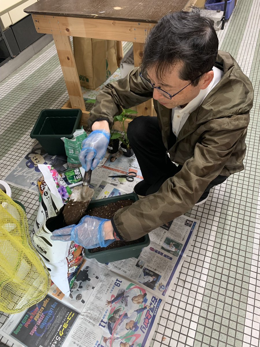 ねこママ tweet media