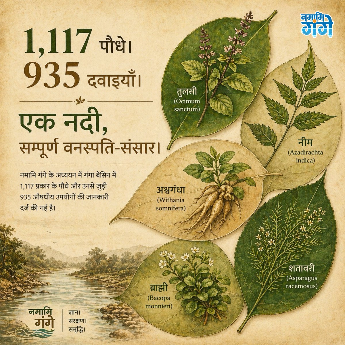 Namami Gange tweet media