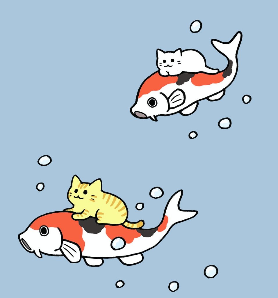 5月の営業予定です。 よろしくお願いいたします🐈️