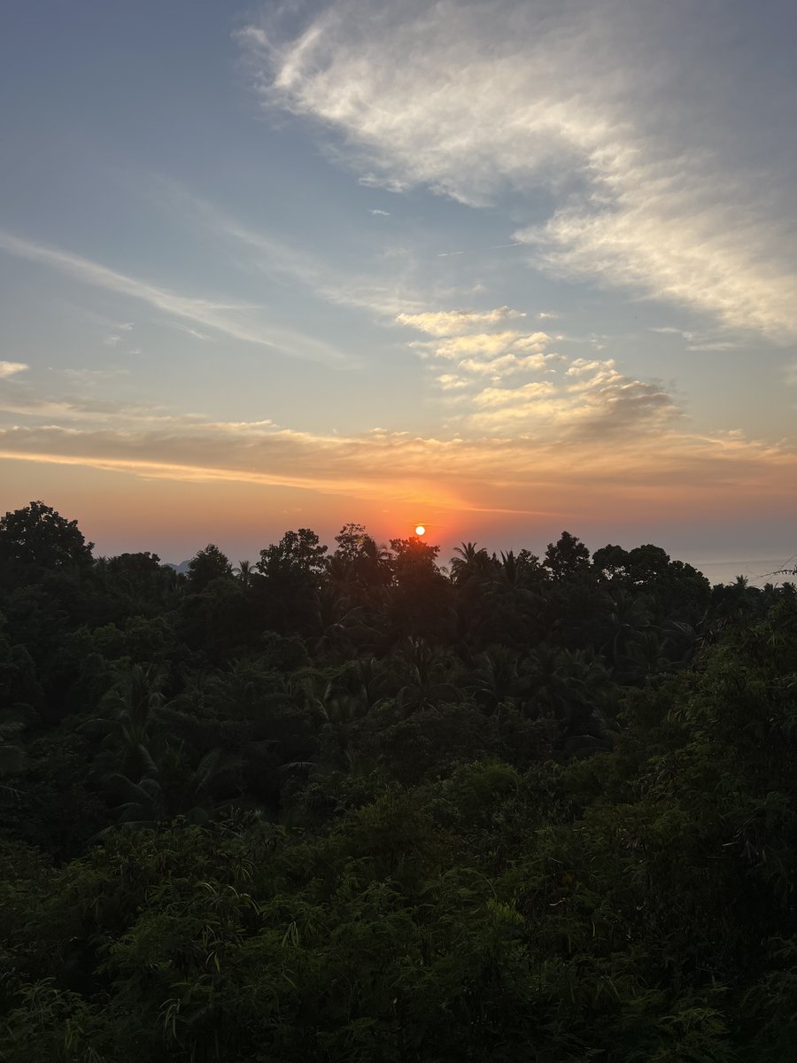 Molly Jones tweet media