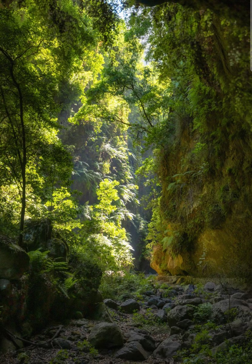 Maya ♛ HQ tweet media