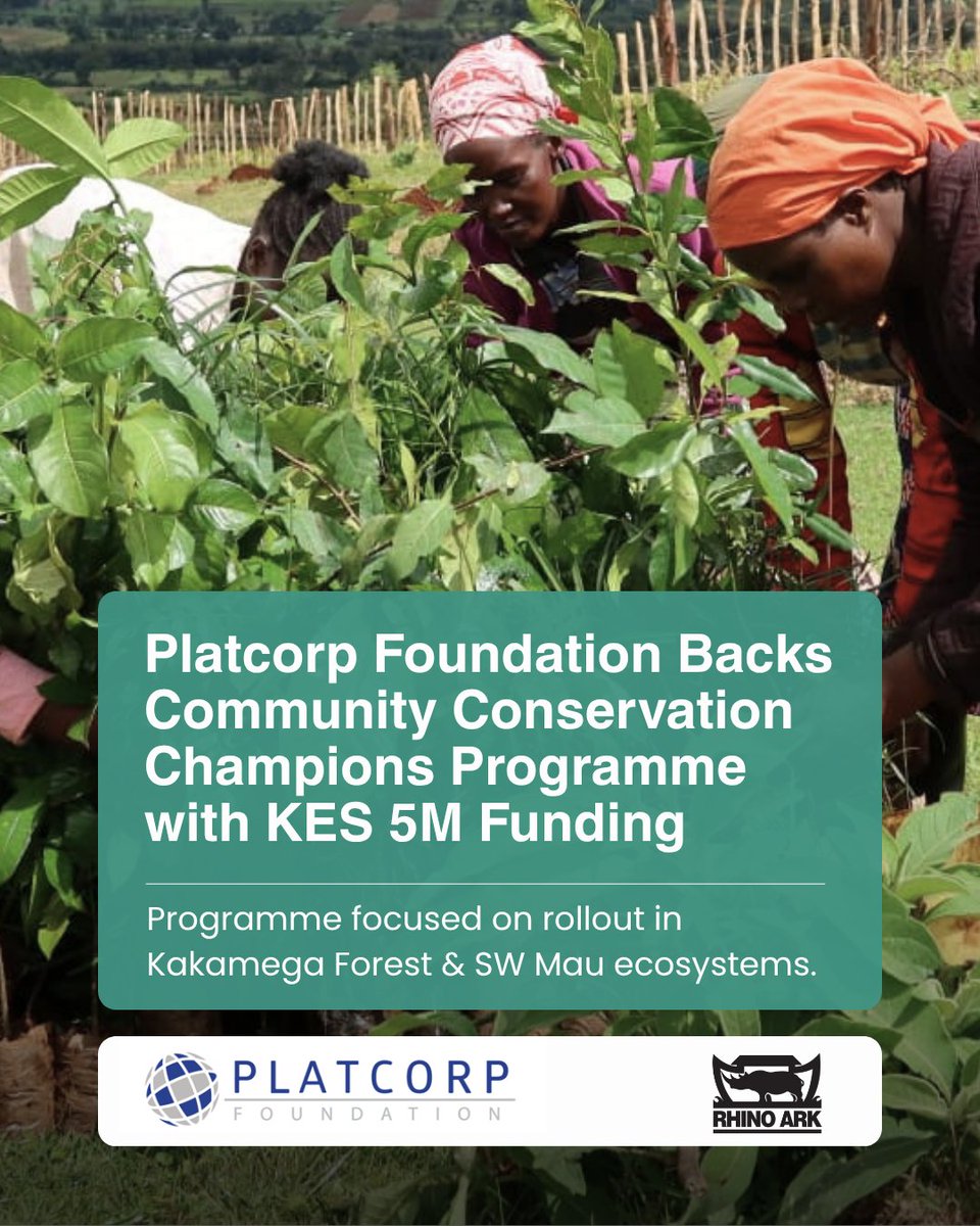 RhinoArk's tweet photo. Rhino Ark is strengthening its partnership with @PlatcorpFDN to roll out community conservation in Kakamega Forest and the South Western Mau Forest.

KES 5M in 2026 to back community-led conservation.

#CommunityConservation #RhinoArkPartnerships https://t.co/2SdcVp5v2T