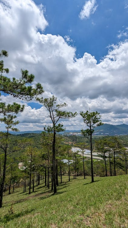 GrainneLyn99894's tweet image. Mahjong is a game of skill, and @MahjongStars is taking that skill to the next level with AI-enhanced strategies. Ready to test your brain on the blockchain? 🧠🔥
#MahjongStars #Strategy #MindGames #Web3