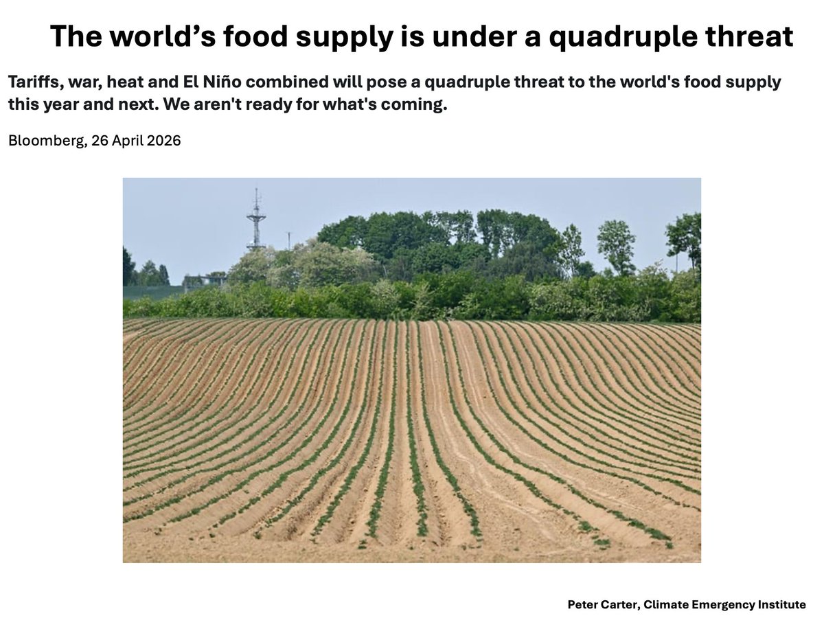 PCarterClimate's tweet image. WORLD FOOD SUPPLY UNDER QUADRUPLE THREAT
Will be devastating- totally ignored. 
Bloomberg, 28 April 2026
#foodsecurity #climatechange #elnino  #globalwarming