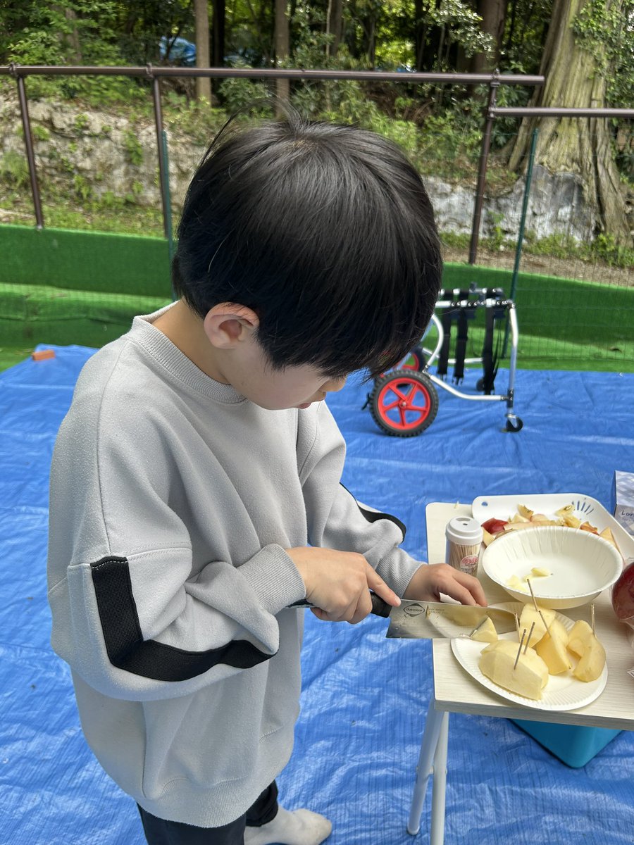 y_k34789's tweet photo. 念願のさくらとプチBBQ！🥩
美味しかったし楽しかったね〜さくら〜✨
またプチBBQや、さくらが行ける川にも遊びに行こうね👋🏼
参加してくれた皆さんありがとうございました🙇🏻
またさくらとの思い出が増えて嬉しいです👦🏻🐕📸

#バーベキュー🍖 
#ジャーマンシェパード 
#さくら 
#木村優来
#犬との絆✨ https://t.co/jPxKBkj1eo