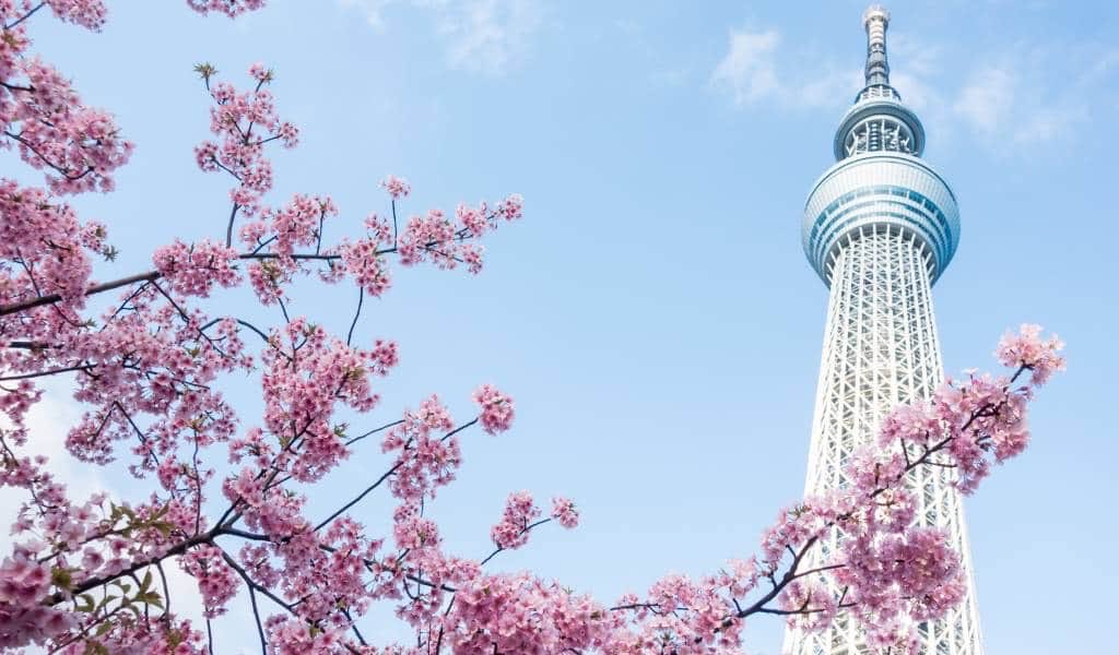 Nick_ko94's tweet image. Tokyo Skytree #pilotlife