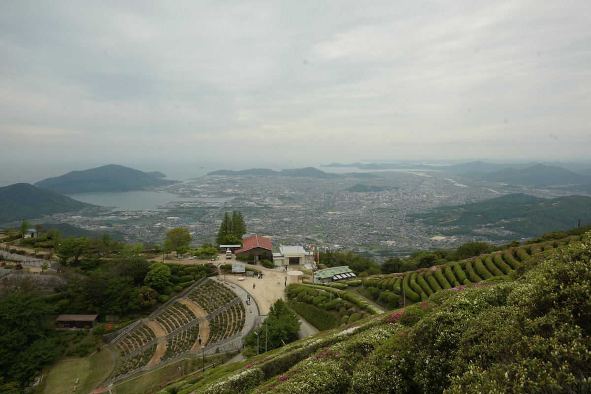 t_universal's tweet photo. 大平山わず
ツツジ満開の嘘情報にだまされた‍ｗｗｗ https://t.co/XWgjaKnoBB