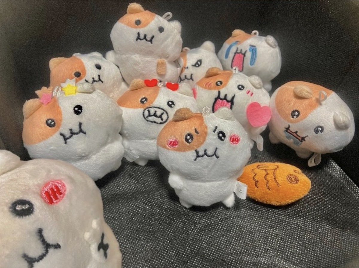 すごく可愛く撮ってくださった写真引用 原本-mochi.0588（Instagram