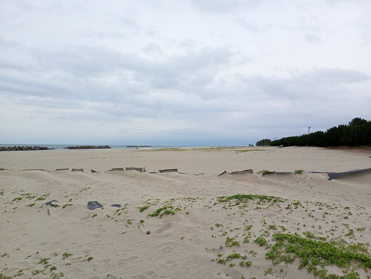 VNTLN's tweet photo. 旅行しています https://t.co/qCZijiIsAu