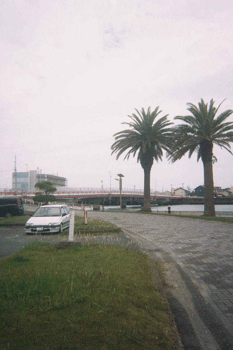 civic__4's tweet photo. 🌴 https://t.co/QnOisOKmL7