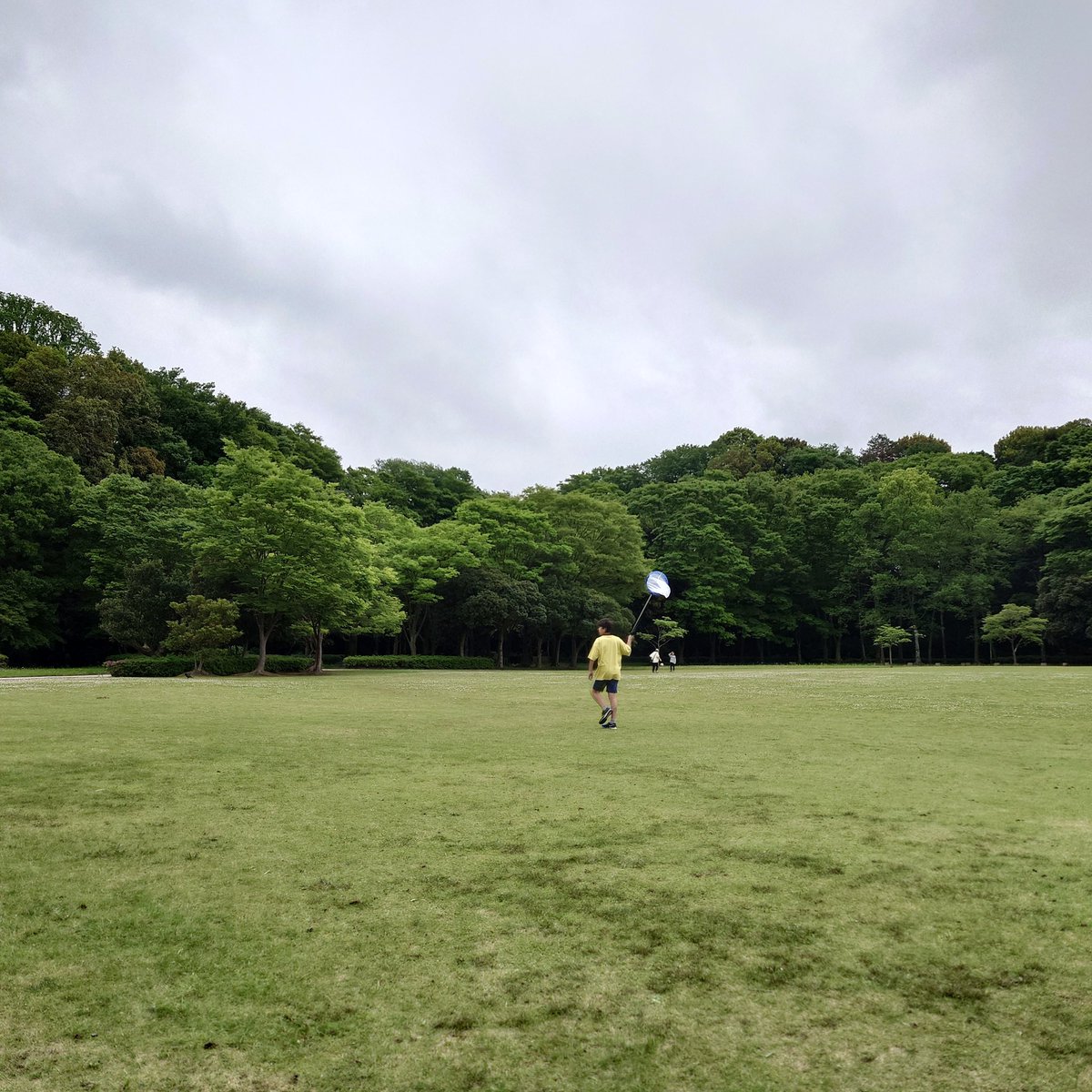 kingston12tomoo's tweet photo. 21世紀公園  晴れていれば新緑が美しいのに。結構寒くなってきた。 https://t.co/P4SwmIC1TL
