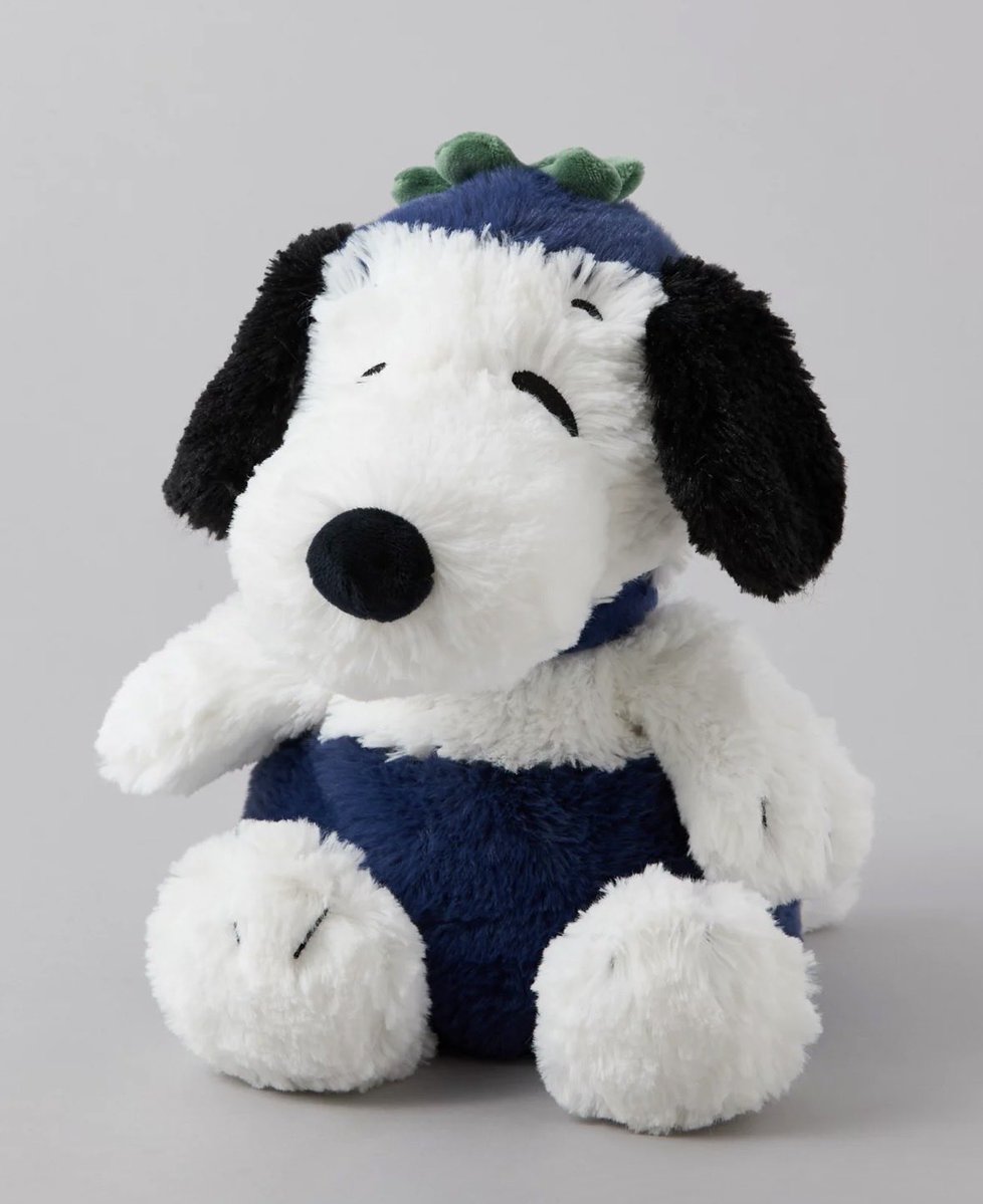 snoopy posters tweet media