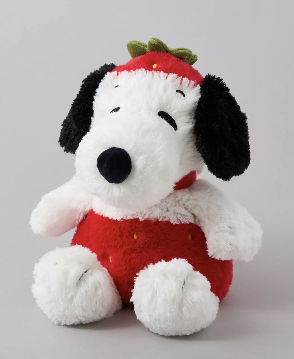 snoopy posters tweet media
