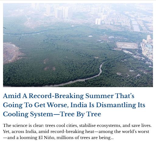 Article14live's tweet image. In #Maharashtra, #Kashmir, #Delhi, #Mumbai, #Bengaluru &amp;amp; beyond, cutting trees for infrastructure runs into the thousands each year—often in violation of safeguards. Forest clearance, not conservation, is the norm, writes @iyerkavi

Link below 👇