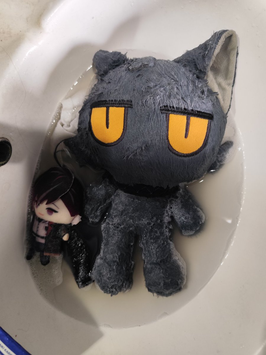notSnwl__'s tweet photo. Gave my babies a bath 🛀 https://t.co/uIepqzM6FE