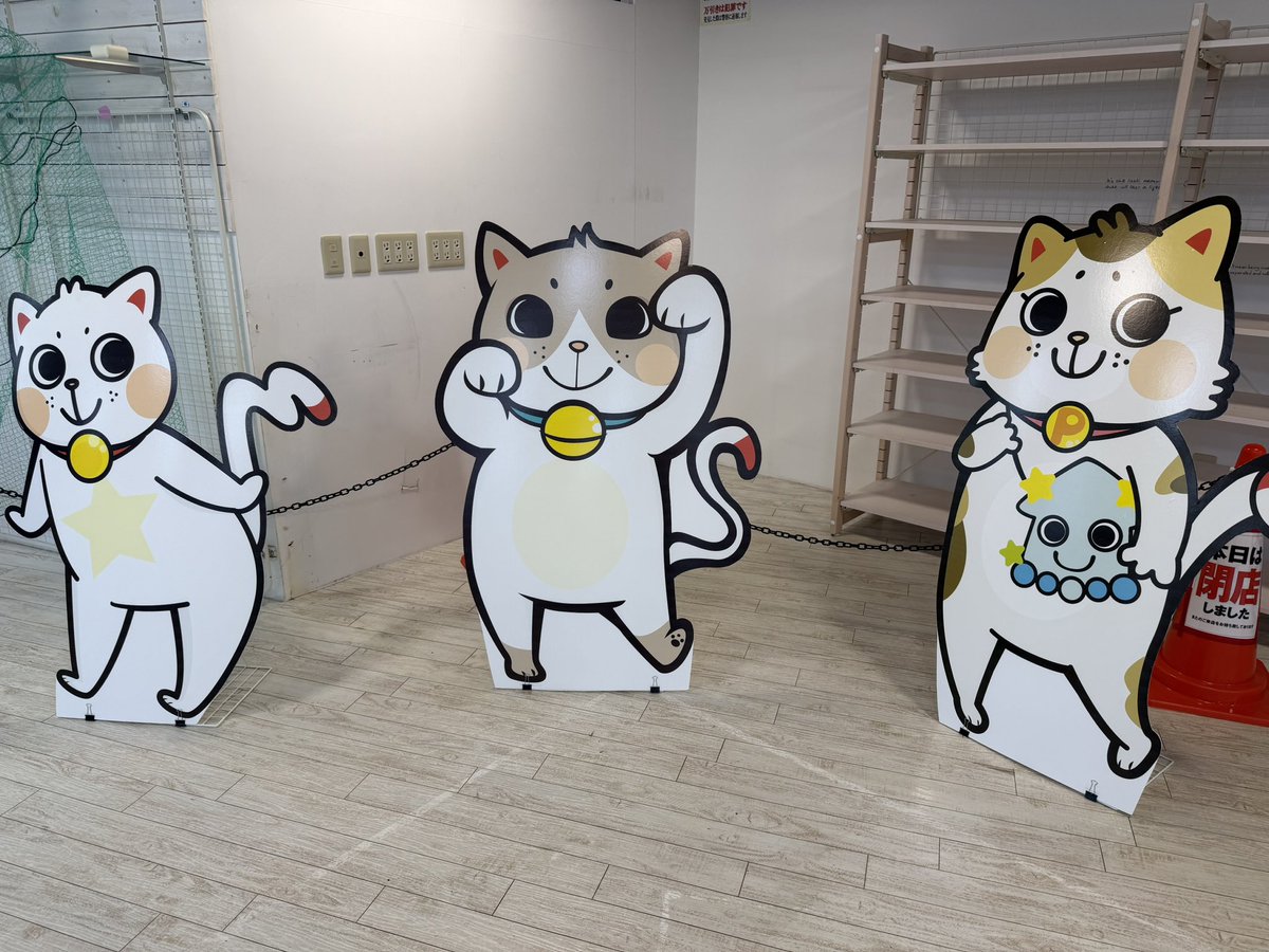 Post by Z長屋 on X: 猫ちゃん🐱