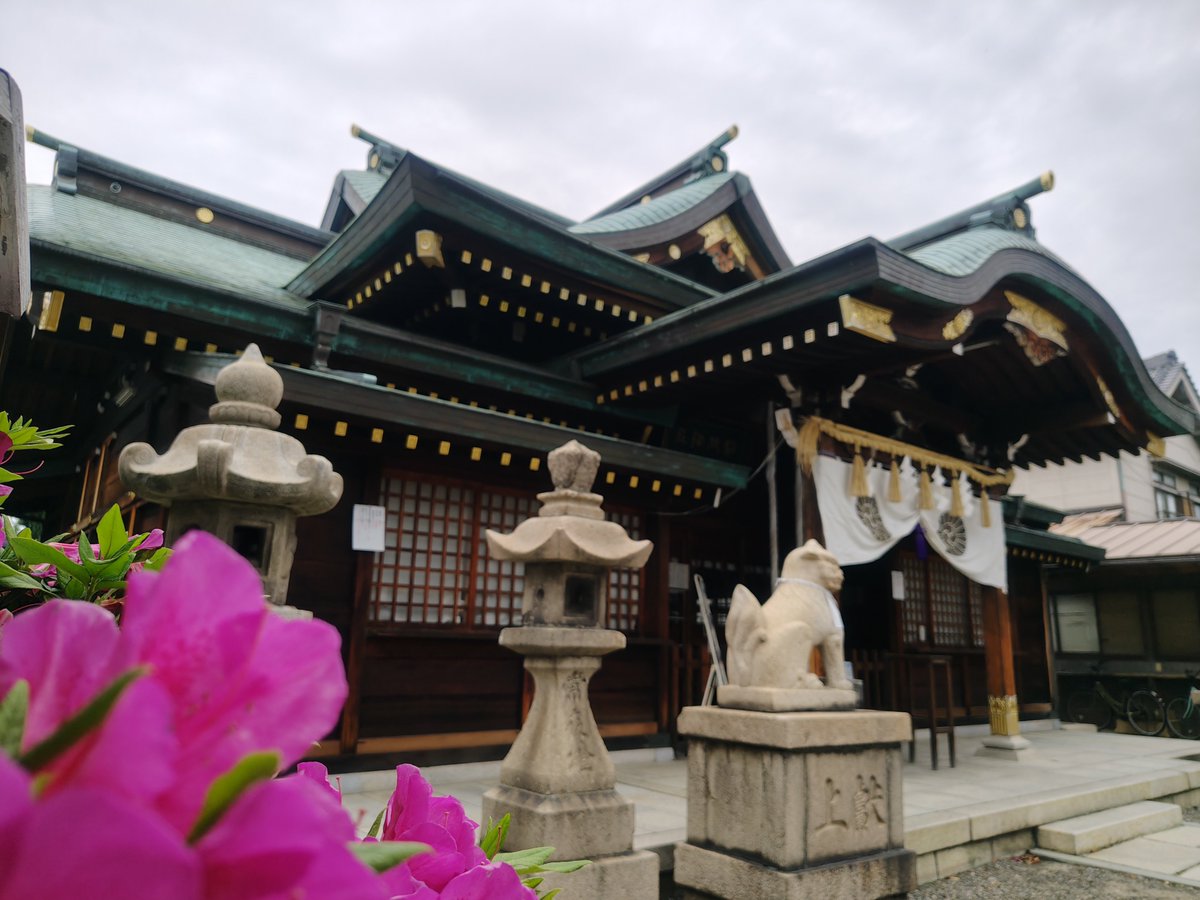 komazukae's tweet photo. 本日は昭和祭をご奉仕いたしました。

60年の永き御代と昭和の時代を築かれた先人への感謝と、国の平安、氏子崇敬者皆様のご健勝を心を込めてご祈念申し上げました。

境内のツツジが静寂な祭日に彩りを添えています。

午後からは縁奏会のお稽古に励みます。

#駒林神社 #神戸市長田区 #昭和祭 https://t.co/W141rtSFge