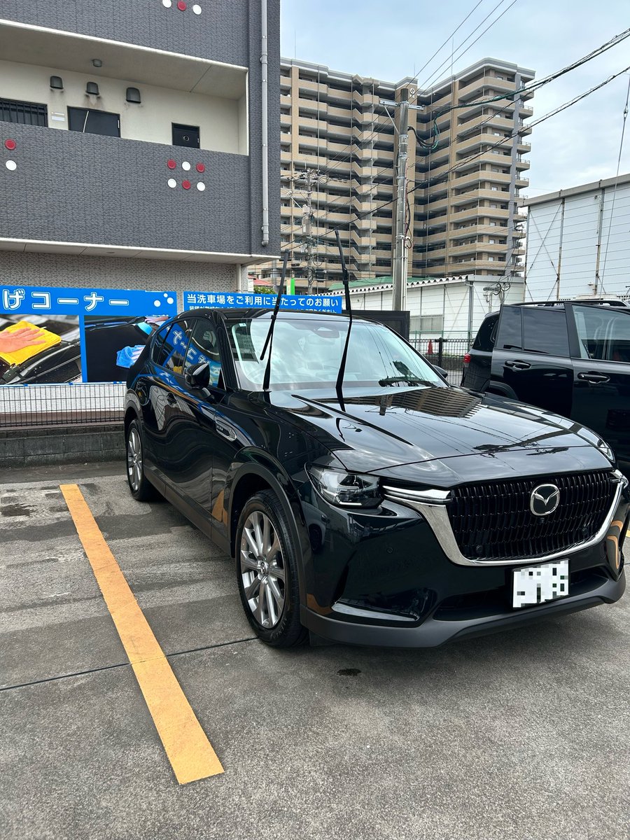 entotsumen's tweet photo. 愛おしいで https://t.co/Vm74bXvHzA