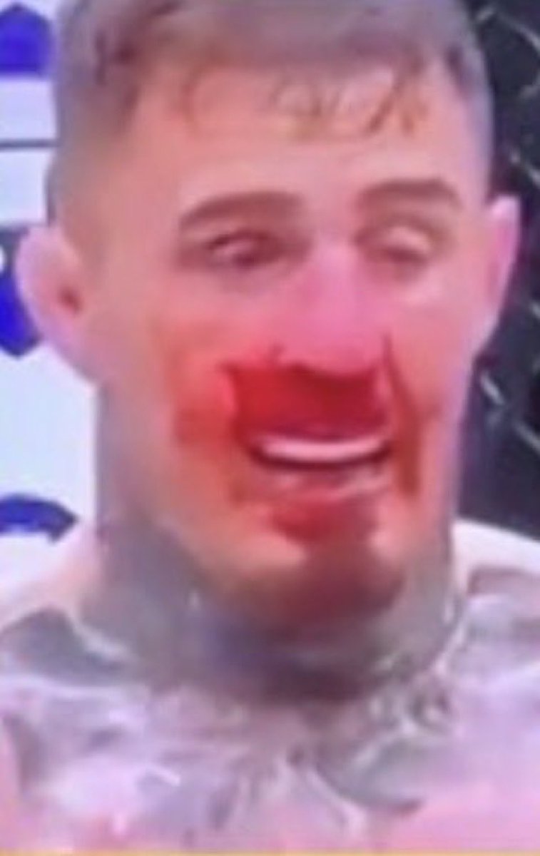 jon bin laden tweet media