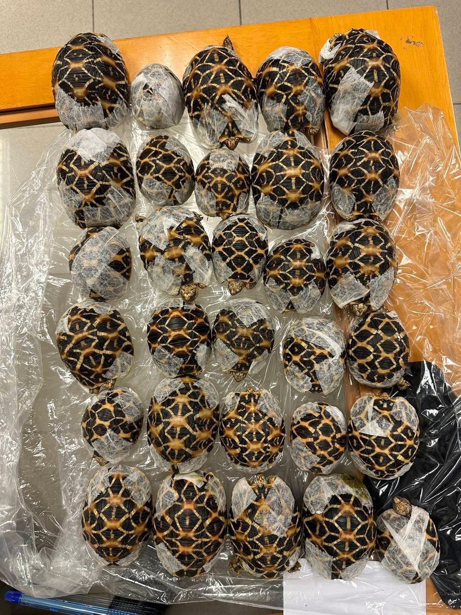 🏳️‍🌈 CHERSAN SRISATJANG ✈️ tweet media