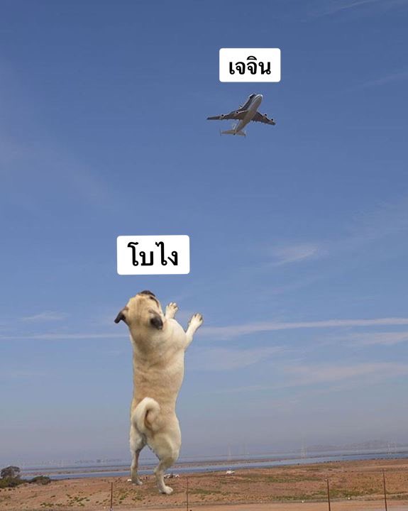 โบไงจะใครหละ แม่(ปลอม)เจน่าจินนี่ tweet media