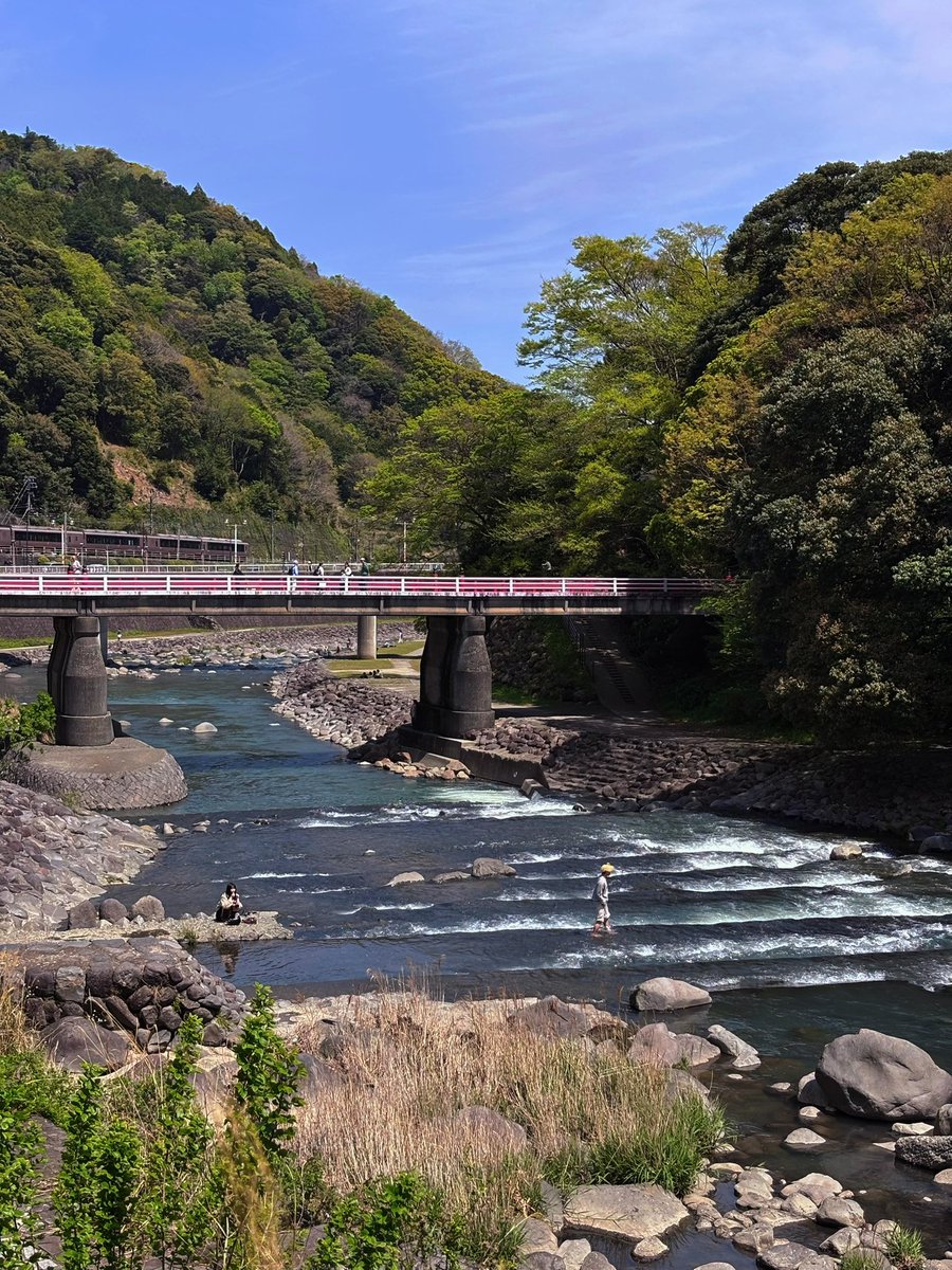 gotar_ncl's tweet photo. Hakone เป็นอีกหนึ่งจุดหมายที่อยากแนะนำครับ บรรยากาศดี วิวสวย 🌿
ไฮไลต์คือการได้ลองเดินทางหลายแบบ ทั้งรถไฟ เรือชมวิว ropeway และรถราง ครบจบในที่เดียว เที่ยวเพลินมากครับ 😆 https://t.co/DZlyyHzxsI