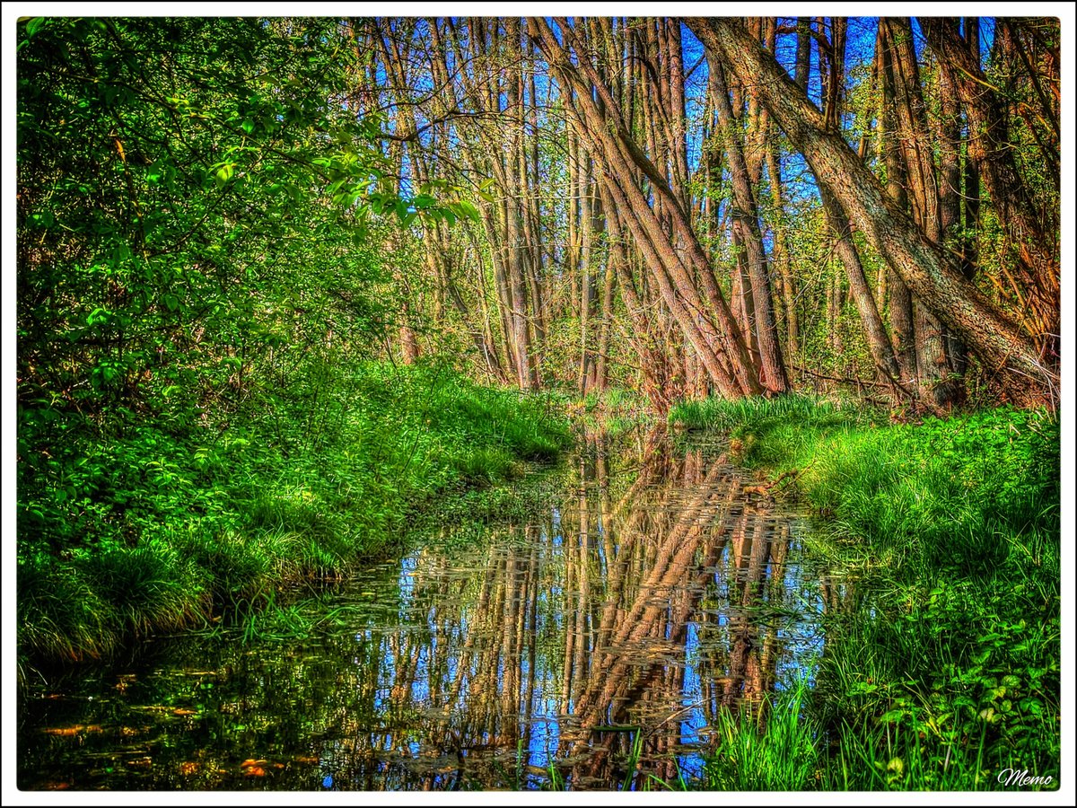 memo_mv2k's tweet image. ≪ Morgens am Bachlauf ≫

#photography #fotografie #foto #photo #postprocessed #myphoto #mywork #ownwork #nature #natur #umwelt #hdr