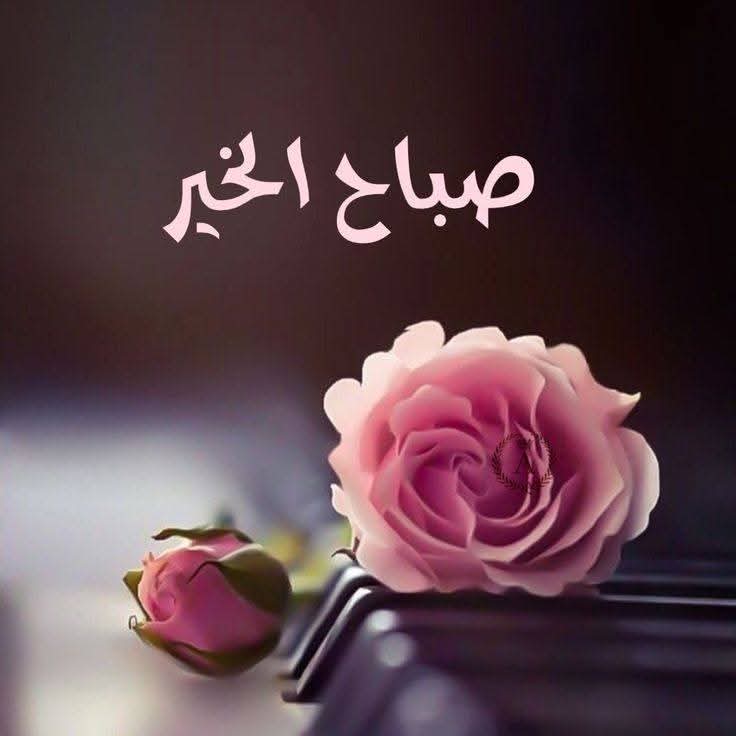 سامي tweet media