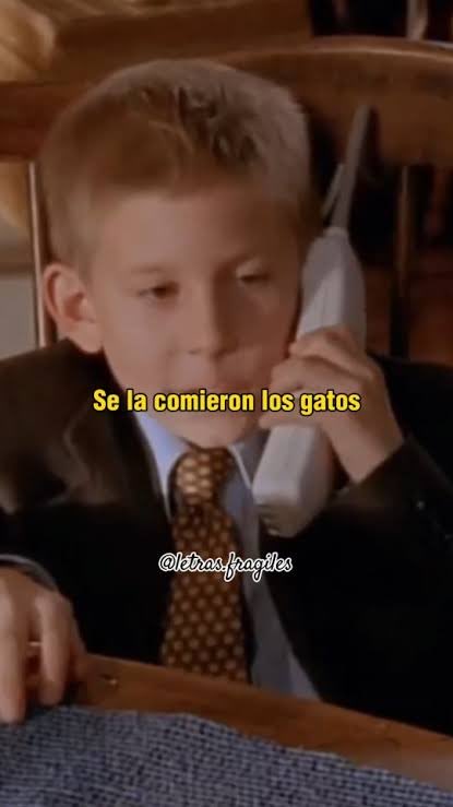 David Ulloa 💻 tweet media