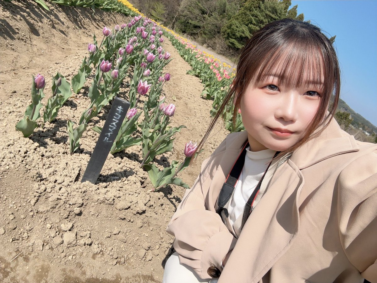 shizuki - asir rera tweet media