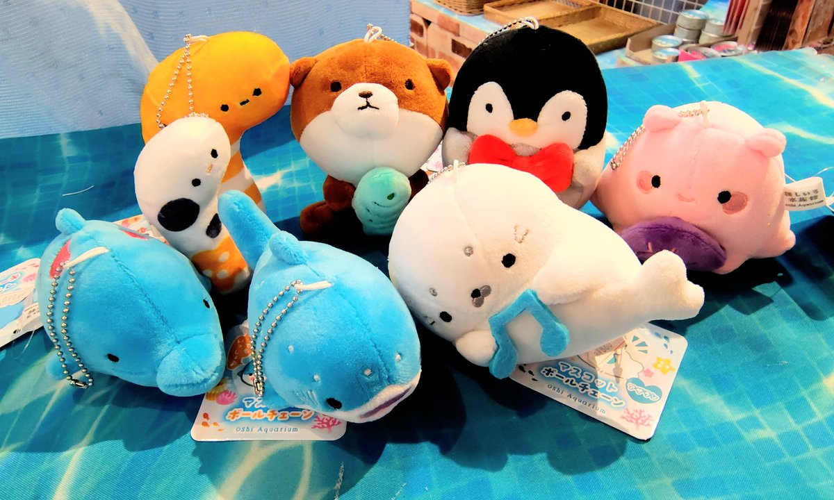 shelltentyo's tweet photo. 🌟新商品のご案内🌟

すっかり当店での定番商品となった推し色水族館シリーズのキャラたちが、ついに！😳

ぬいぐるみマスコットとなって登場です✨🥰

ボリュームある大きさ！カバンや鍵につければ存在感バツグンです😊

#シーパラ　#八景島　#水族館 https://t.co/dy5yVosJXi