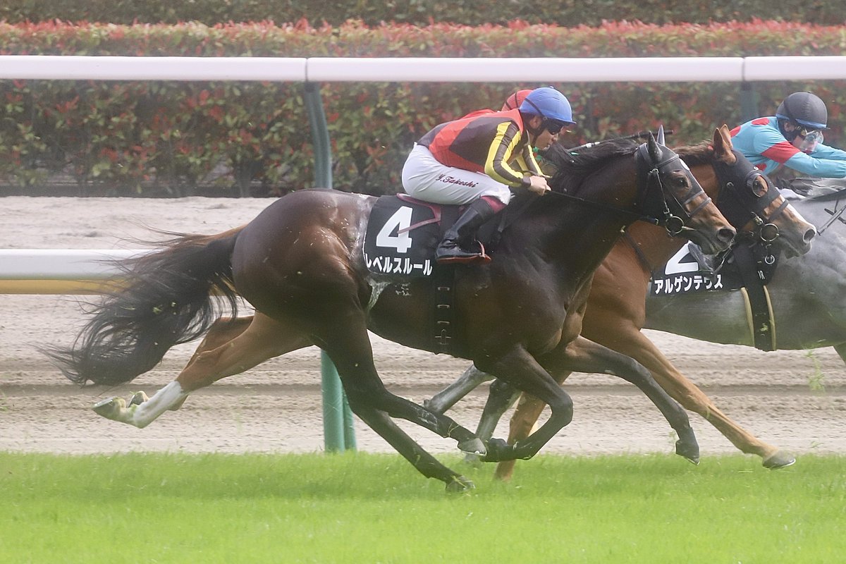 ウメ子♀ tweet media